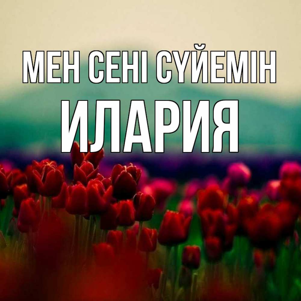 Күн сайын ашық хат с именем, Илария Мен сені сүйемін тюльпаны 4 Онлайн тегін жүктеп алу тілектері бар керемет карта 