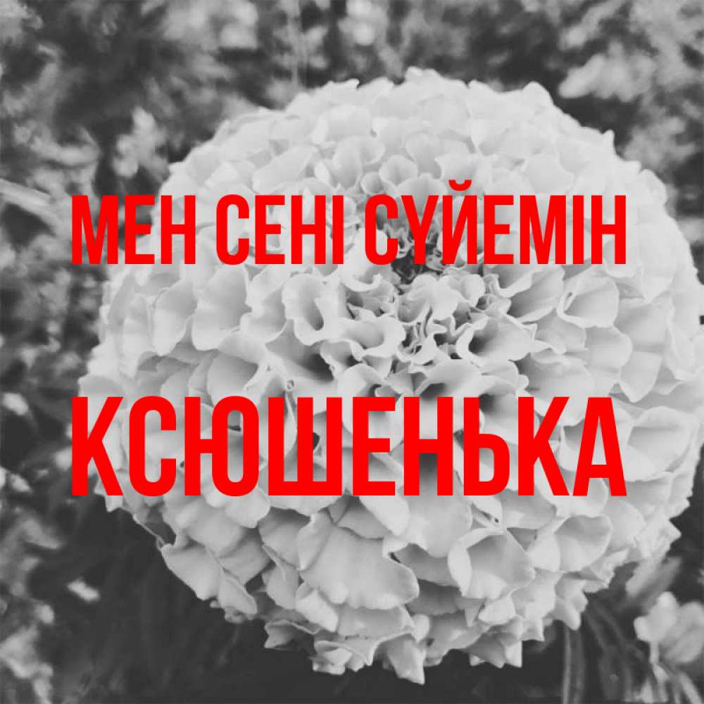 Күн сайын ашық хат с именем, Ксюшенька Мен сені сүйемін подпись Онлайн тегін жүктеп алу тілектері бар керемет карта 