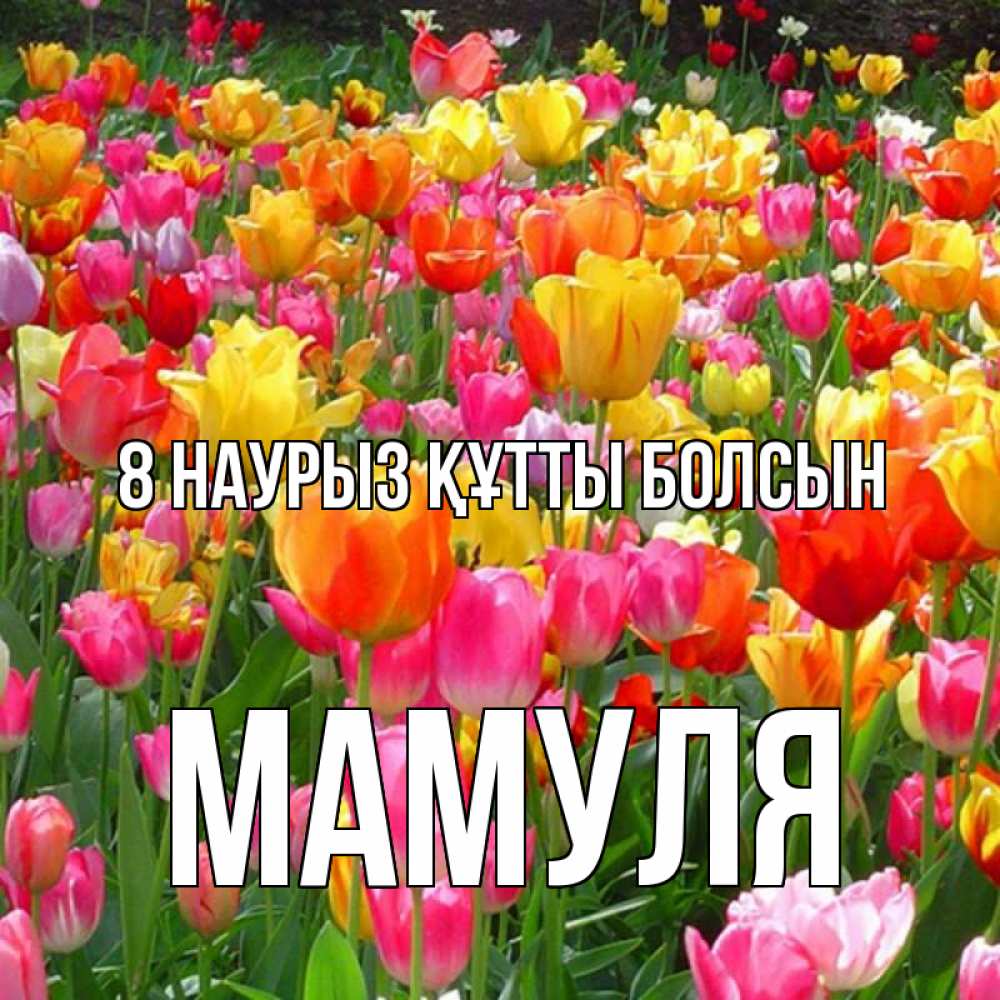 Күн сайын ашық хат с именем, Мамуля 8 наурыз құтты болсын на международный женский день Онлайн тегін жүктеп алу тілектері бар керемет карта 