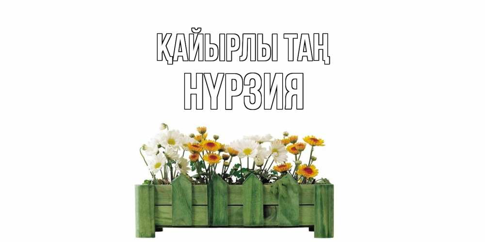 Күн сайын ашық хат с именем, НҮРЗИЯ Қайырлы таң цветы Онлайн тегін жүктеп алу тілектері бар керемет карта 