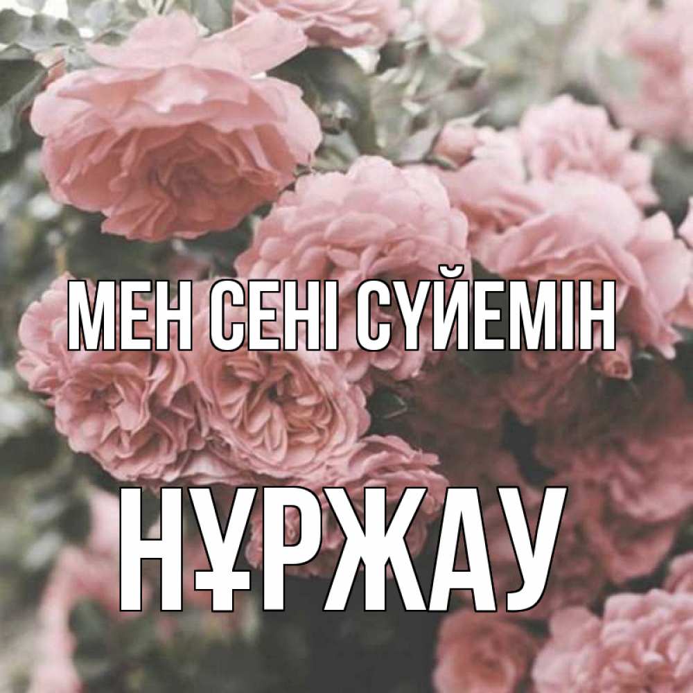 Күн сайын ашық хат с именем, НҰРЖАУ Мен сені сүйемін розы 3 Онлайн тегін жүктеп алу тілектері бар керемет карта 