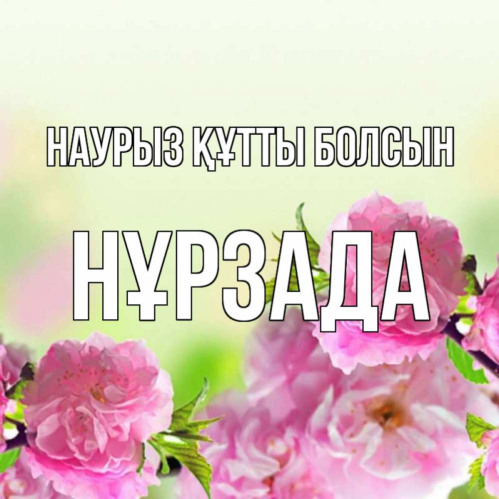 Күн сайын ашық хат с именем, НҰРЗАДА Наурыз құтты болсын цветы Онлайн тегін жүктеп алу тілектері бар керемет карта 