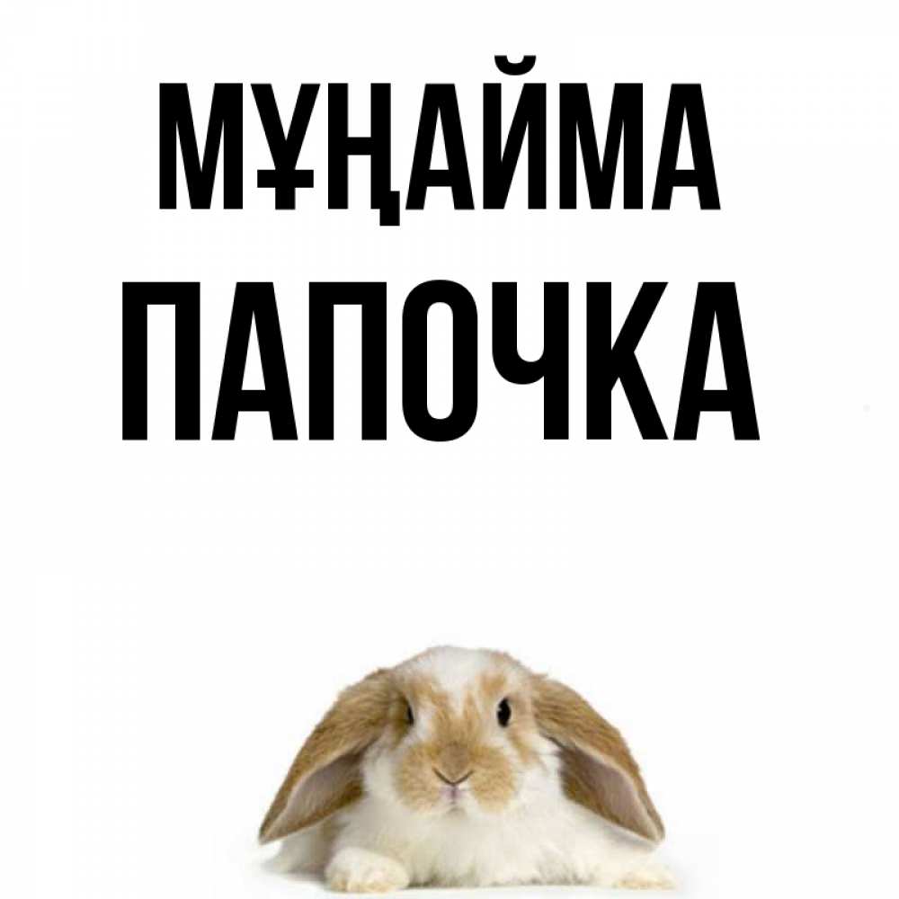 Күн сайын ашық хат с именем, Папочка Мұңайма коричнево белый заяц с большими ушками Онлайн тегін жүктеп алу тілектері бар керемет карта 