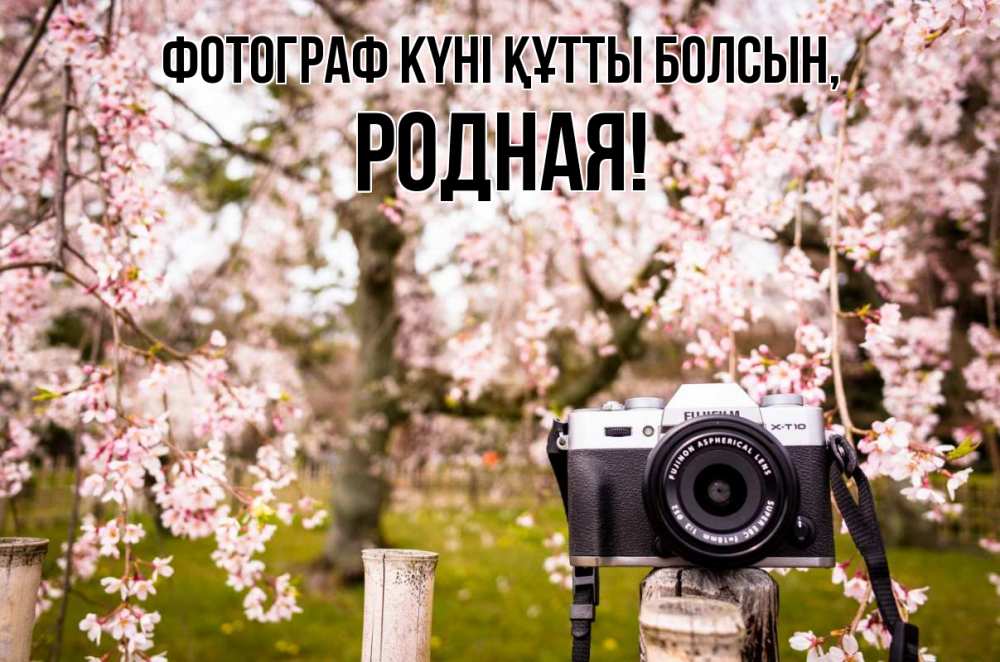 Күн сайын ашық хат с именем, Родная Фотограф күні құтты болсын сирень с днем фотографа, фотоаппарат Онлайн тегін жүктеп алу тілектері бар керемет карта 
