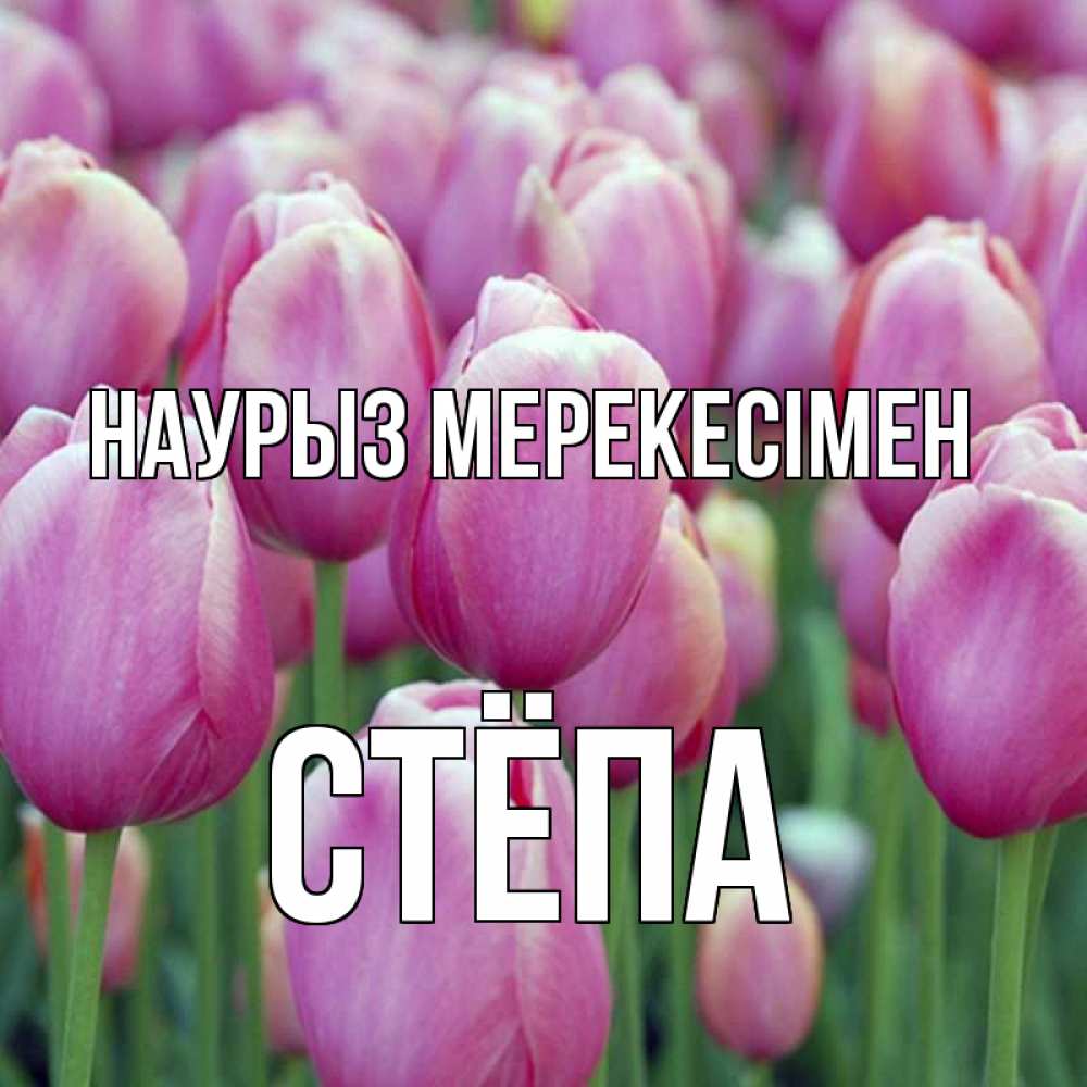 Күн сайын ашық хат с именем, Стёпа Наурыз мерекесімен праздник весны наурыз 69 Онлайн тегін жүктеп алу тілектері бар керемет карта 