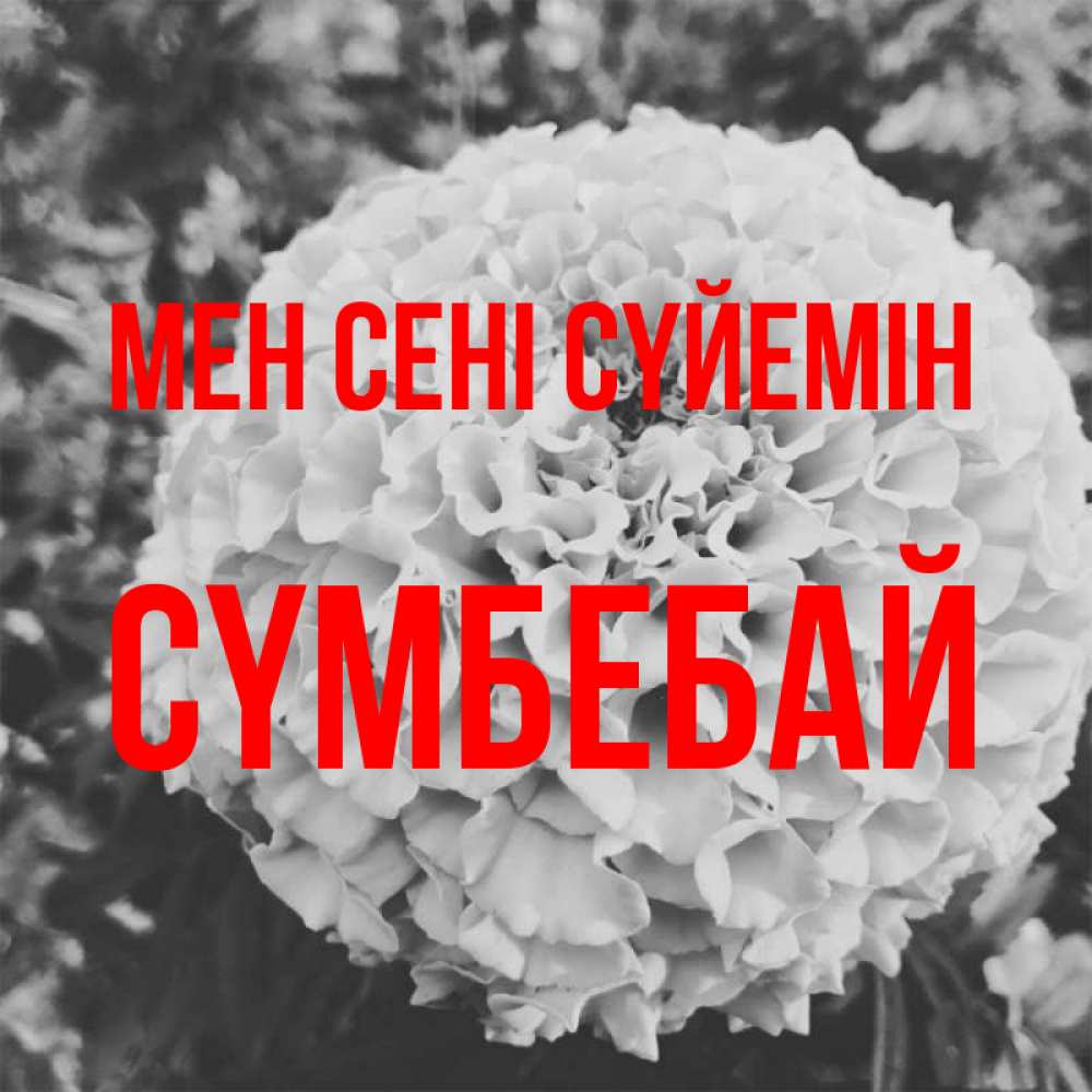 Күн сайын ашық хат с именем, СҮМБЕБАЙ Мен сені сүйемін подпись Онлайн тегін жүктеп алу тілектері бар керемет карта 