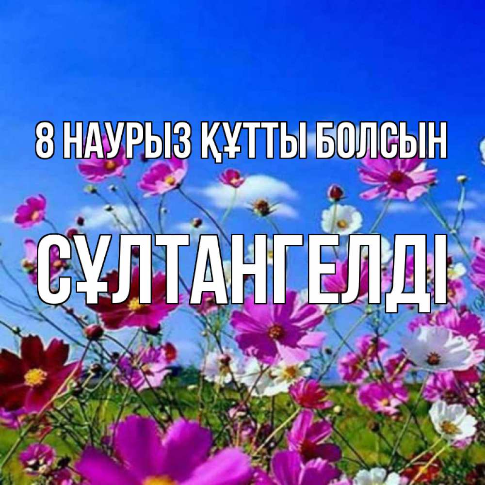 Күн сайын ашық хат с именем, СҰЛТАНГЕЛДІ 8 наурыз құтты болсын цветы Онлайн тегін жүктеп алу тілектері бар керемет карта 