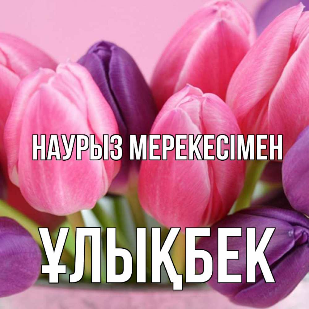 Күн сайын ашық хат с именем, ҰЛЫҚБЕК Наурыз мерекесімен маме 1 Онлайн тегін жүктеп алу тілектері бар керемет карта 