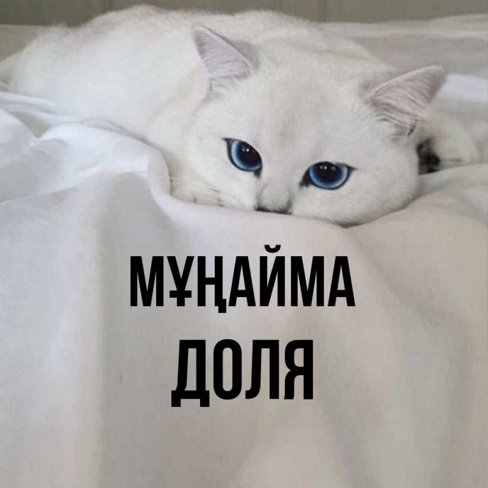 Күн сайын ашық хат с именем, Доля Мұңайма Голубоглазая кошка Онлайн тегін жүктеп алу тілектері бар керемет карта 