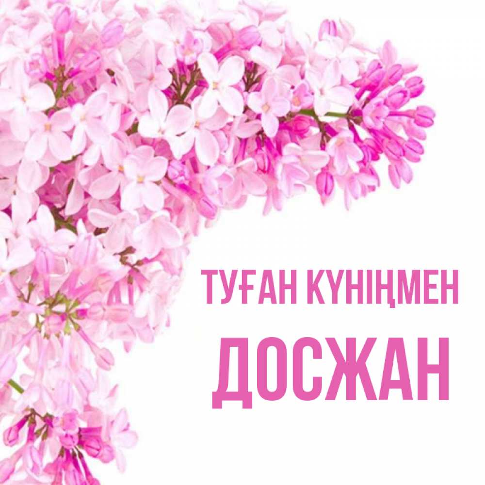 Күн сайын ашық хат с именем, Досжан Туған күніңмен Сирень на белом фоне Онлайн тегін жүктеп алу тілектері бар керемет карта 