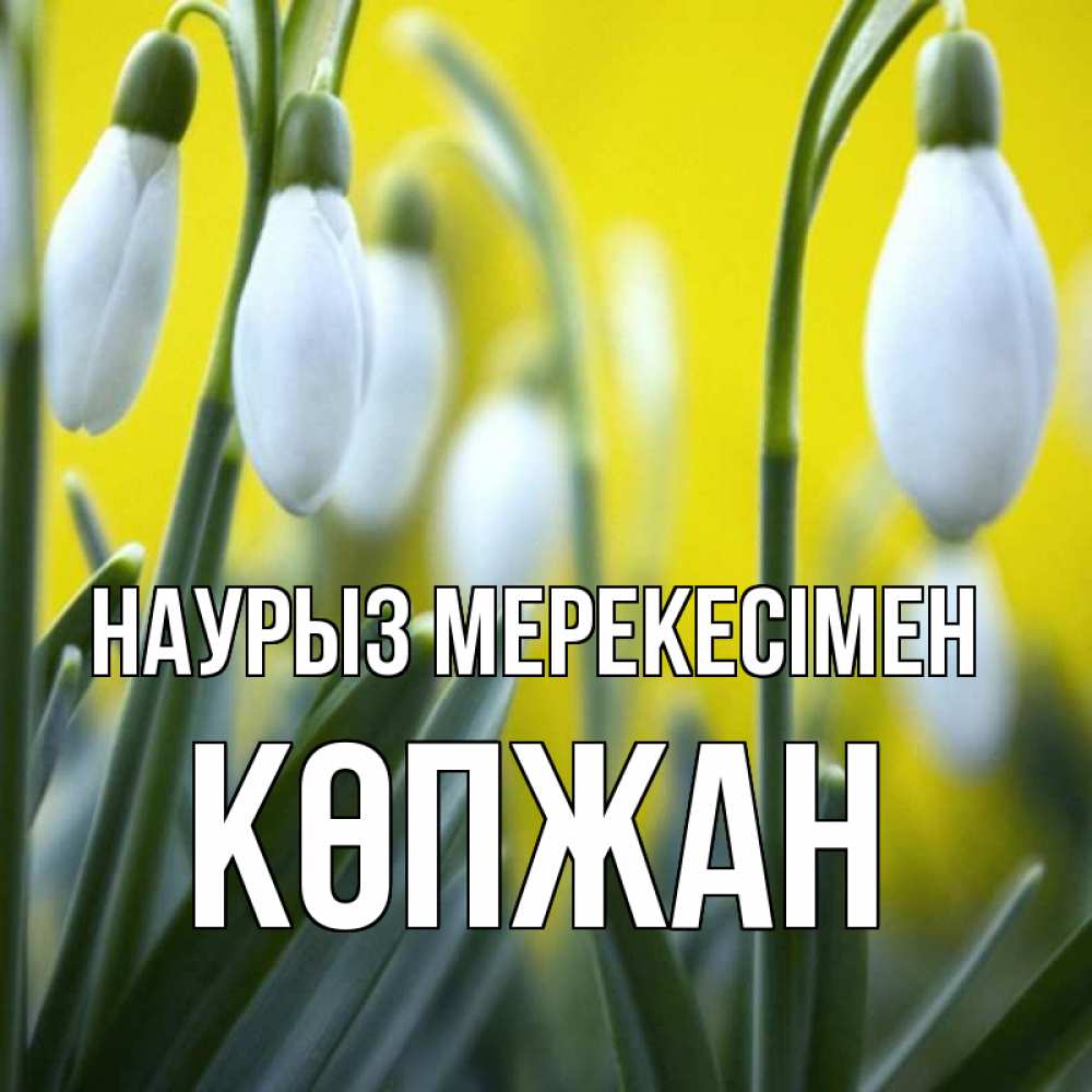 Күн сайын ашық хат с именем, Көпжан Наурыз мерекесімен весенние цветы Онлайн тегін жүктеп алу тілектері бар керемет карта 