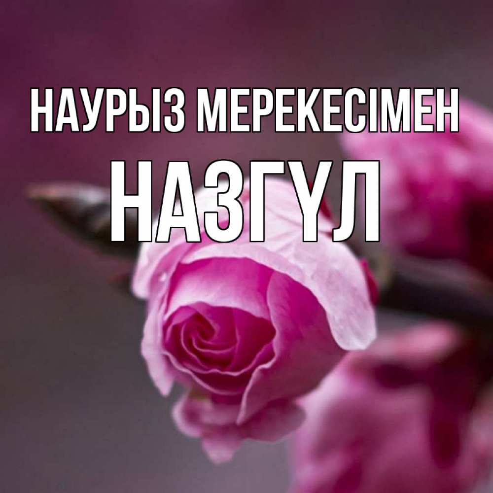 Күн сайын ашық хат с именем, НАЗГҮЛ Наурыз мерекесімен весна Онлайн тегін жүктеп алу тілектері бар керемет карта 