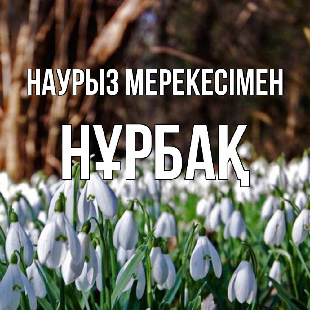 Күн сайын ашық хат с именем, НҰРБАҚ Наурыз мерекесімен с подснежниками 1 Онлайн тегін жүктеп алу тілектері бар керемет карта 