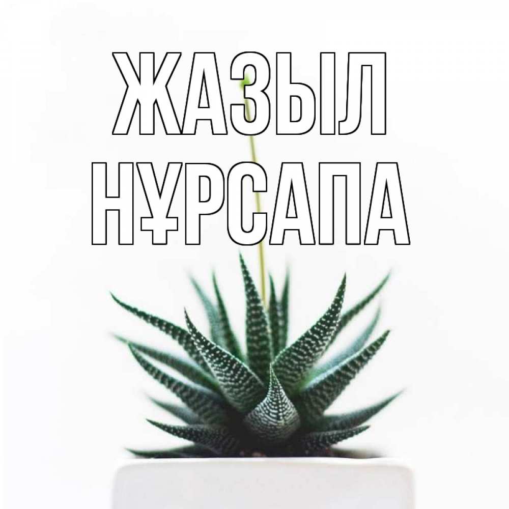 Күн сайын ашық хат с именем, НҰРСАПА Жазыл короче это непонятная колючка Онлайн тегін жүктеп алу тілектері бар керемет карта 