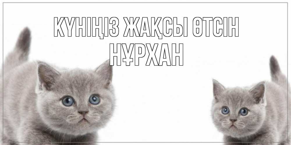 Күн сайын ашық хат с именем, НҰРХАН Күніңіз жақсы өтсін открытка с котами Онлайн тегін жүктеп алу тілектері бар керемет карта 