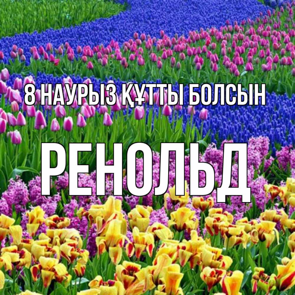 Күн сайын ашық хат с именем, Ренольд 8 наурыз құтты болсын цветы Онлайн тегін жүктеп алу тілектері бар керемет карта 