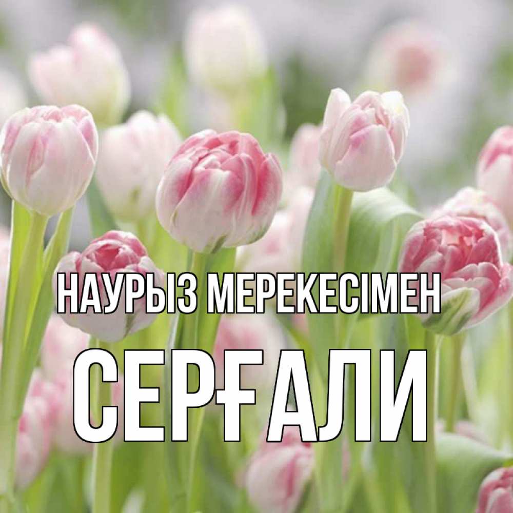 Күн сайын ашық хат с именем, СЕРҒАЛИ Наурыз мерекесімен цветы Онлайн тегін жүктеп алу тілектері бар керемет карта 