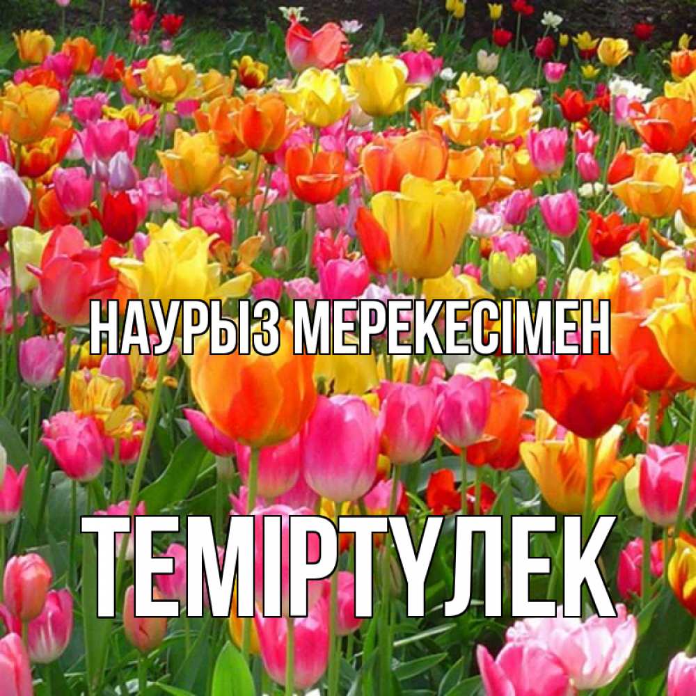Күн сайын ашық хат с именем, ТЕМІРТҮЛЕК Наурыз мерекесімен праздник весны наурыз 4 Онлайн тегін жүктеп алу тілектері бар керемет карта 
