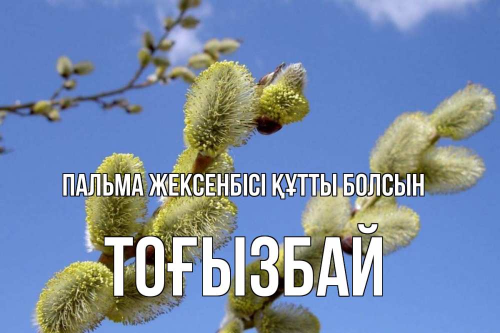 Күн сайын ашық хат с именем, ТОҒЫЗБАЙ Пальма жексенбісі құтты болсын верба Онлайн тегін жүктеп алу тілектері бар керемет карта 