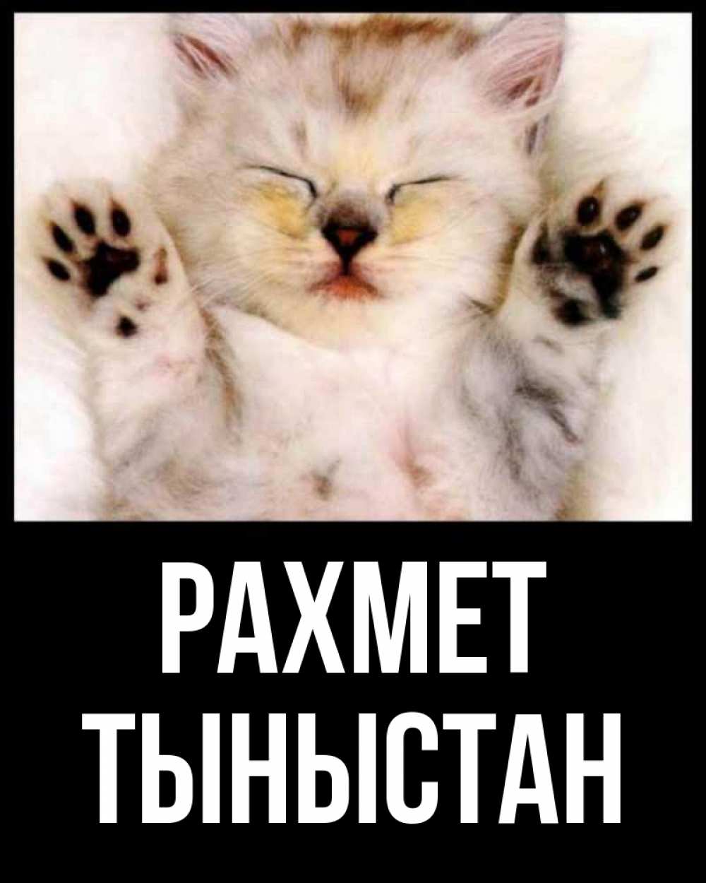 Күн сайын ашық хат с именем, ТЫНЫСТАН рахмет маленький котенок Онлайн тегін жүктеп алу тілектері бар керемет карта 