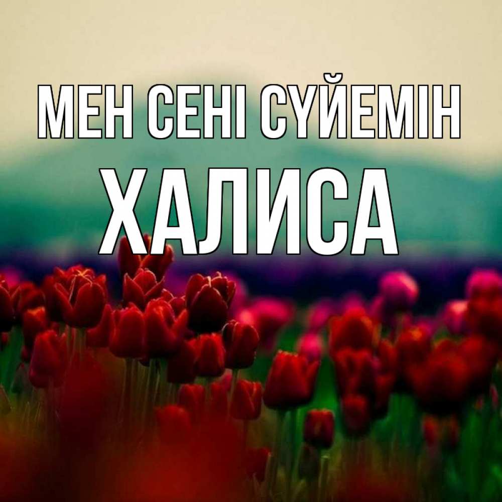 Күн сайын ашық хат с именем, ХАЛИСА Мен сені сүйемін тюльпаны 4 Онлайн тегін жүктеп алу тілектері бар керемет карта 