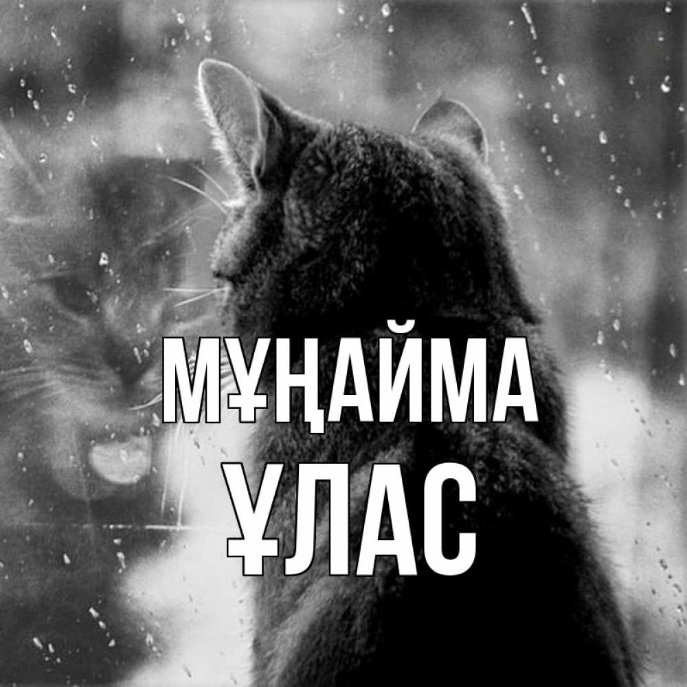 Күн сайын ашық хат с именем, ҰЛАС Мұңайма отражение кота 1 Онлайн тегін жүктеп алу тілектері бар керемет карта 
