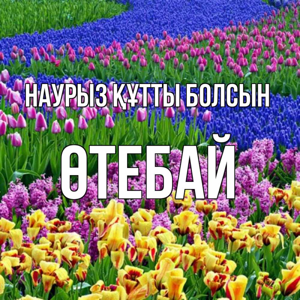 Күн сайын ашық хат с именем, ӨТЕБАЙ Наурыз құтты болсын цветы Онлайн тегін жүктеп алу тілектері бар керемет карта 