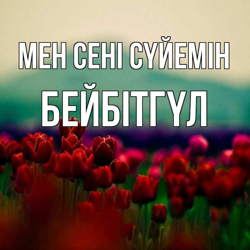 Күн сайын ашық хат с именем, БЕЙБІТГҮЛ Мен сені сүйемін тюльпаны 4 Онлайн тегін жүктеп алу тілектері бар керемет карта 