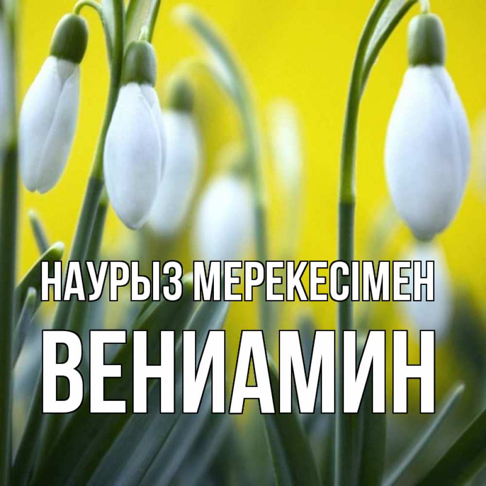 Күн сайын ашық хат с именем, Вениамин Наурыз мерекесімен весенние цветы Онлайн тегін жүктеп алу тілектері бар керемет карта 