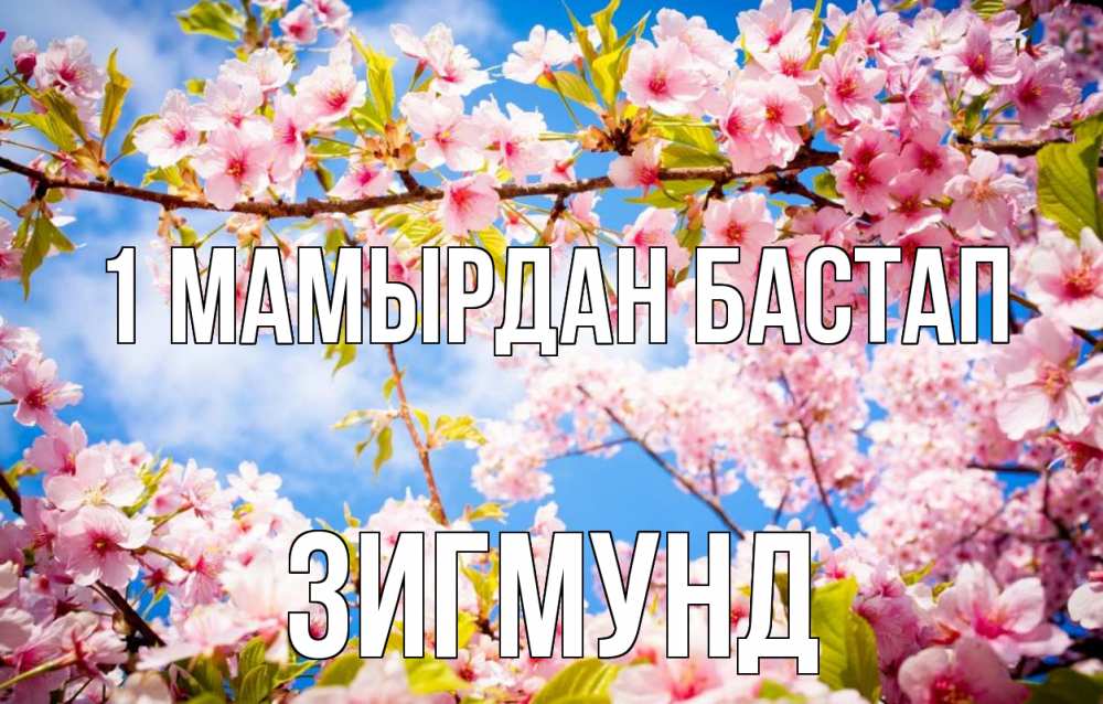 Күн сайын ашық хат с именем, Зигмунд 1 мамырдан бастап С 1 мая Онлайн тегін жүктеп алу тілектері бар керемет карта 