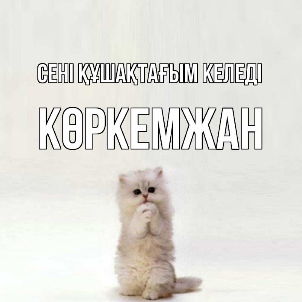 Күн сайын ашық хат с именем, Көркемжан сені құшақтағым келеді открытки с креативными подписями Онлайн тегін жүктеп алу тілектері бар керемет карта 