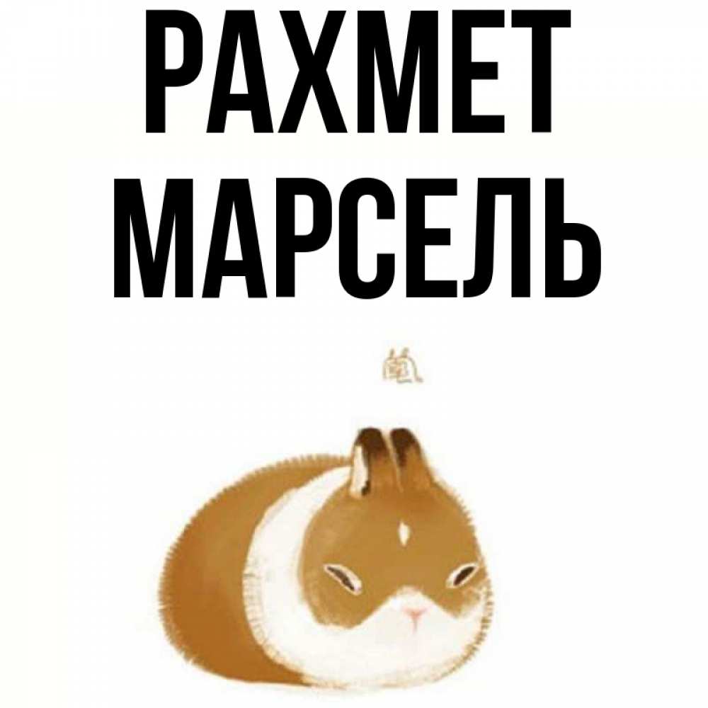 Күн сайын ашық хат с именем, Марсель рахмет коричнево белый домашний питомец Онлайн тегін жүктеп алу тілектері бар керемет карта 