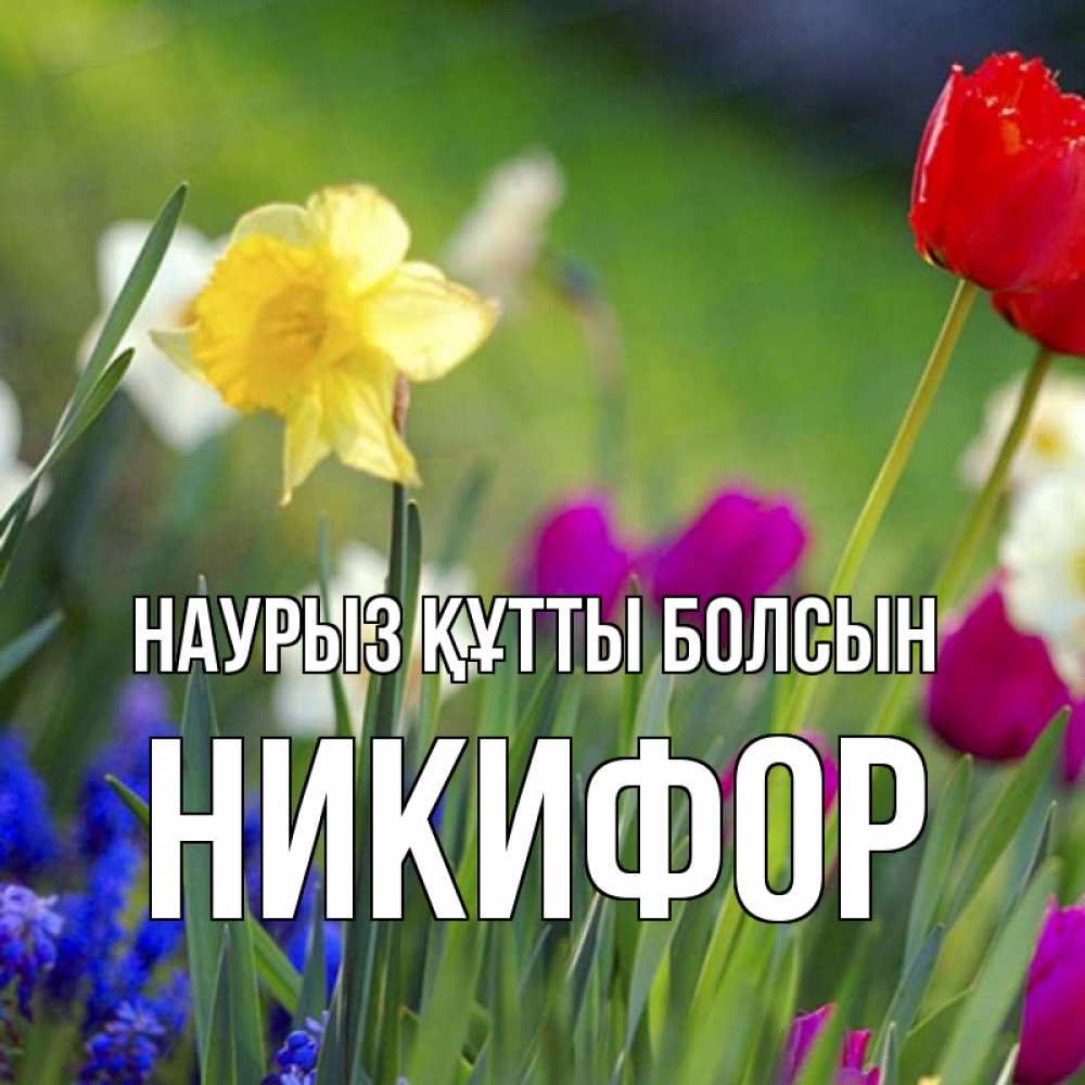 Күн сайын ашық хат с именем, Никифор Наурыз құтты болсын наурыз  3 открытки Онлайн тегін жүктеп алу тілектері бар керемет карта 