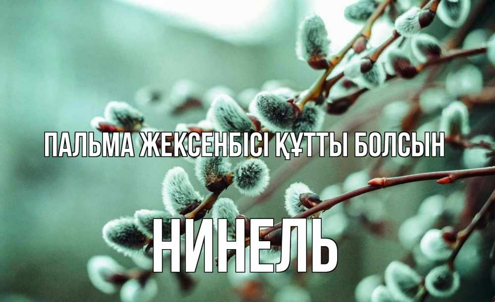 Күн сайын ашық хат с именем, Нинель Пальма жексенбісі құтты болсын верба Онлайн тегін жүктеп алу тілектері бар керемет карта 