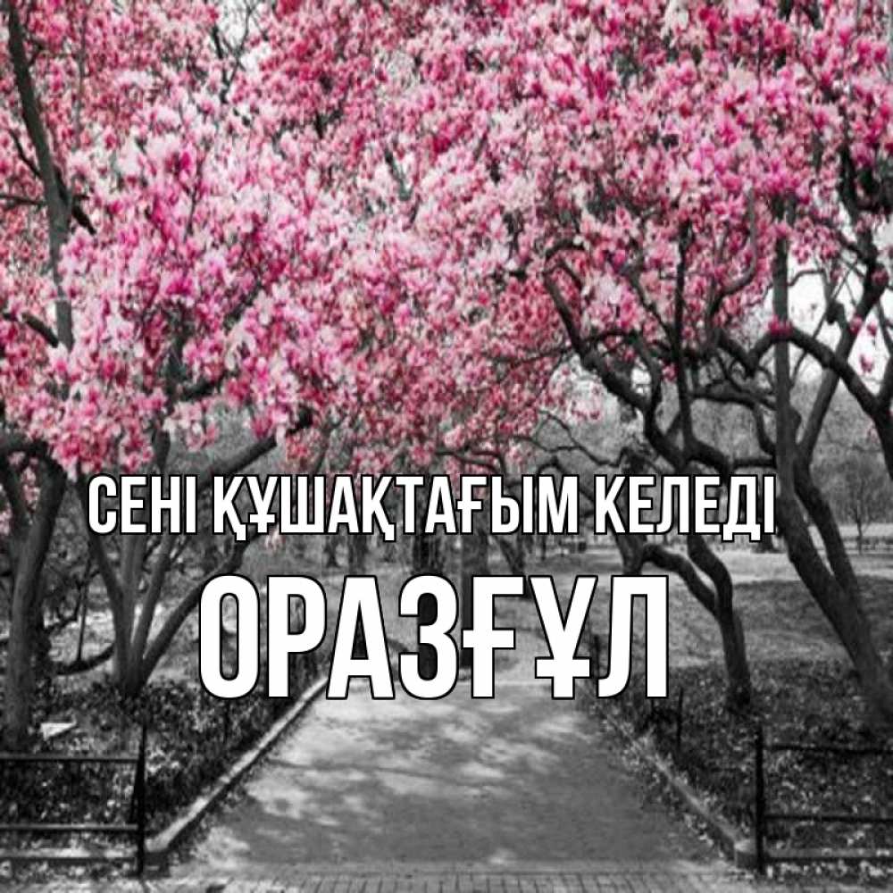 Күн сайын ашық хат с именем, ОРАЗҒҰЛ сені құшақтағым келеді обработанное фото Онлайн тегін жүктеп алу тілектері бар керемет карта 