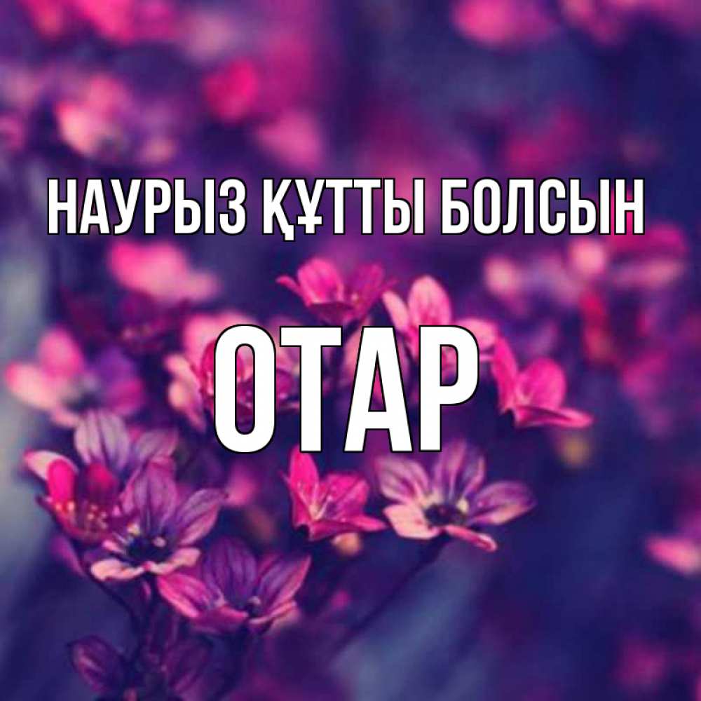 Күн сайын ашық хат с именем, ОТАР Наурыз құтты болсын небольшие цветы 1 Онлайн тегін жүктеп алу тілектері бар керемет карта 