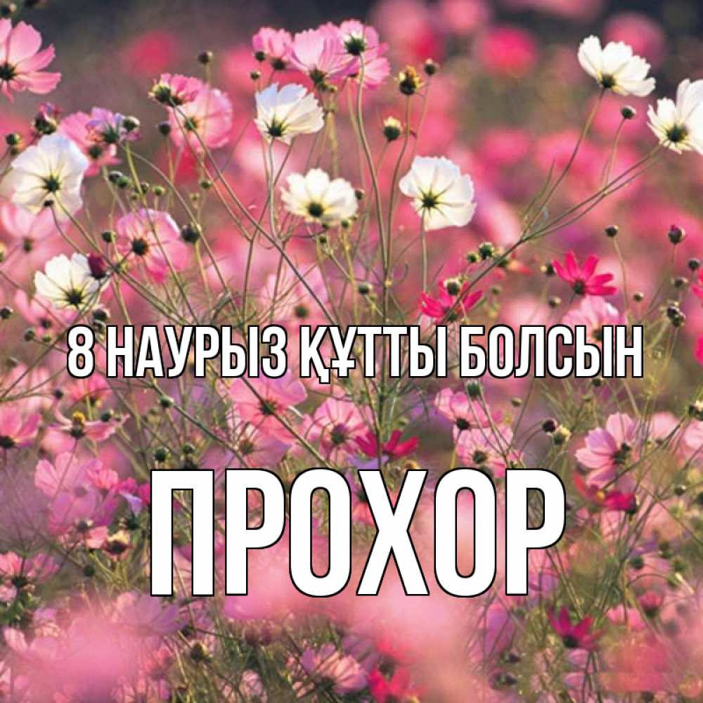 Күн сайын ашық хат с именем, Прохор 8 наурыз құтты болсын красиво 1 Онлайн тегін жүктеп алу тілектері бар керемет карта 