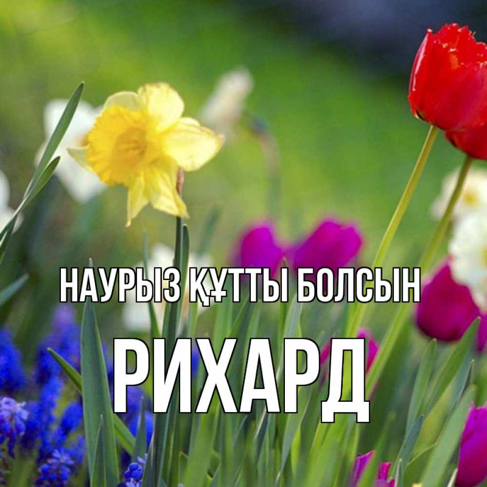 Күн сайын ашық хат с именем, Рихард Наурыз құтты болсын наурыз  3 открытки Онлайн тегін жүктеп алу тілектері бар керемет карта 