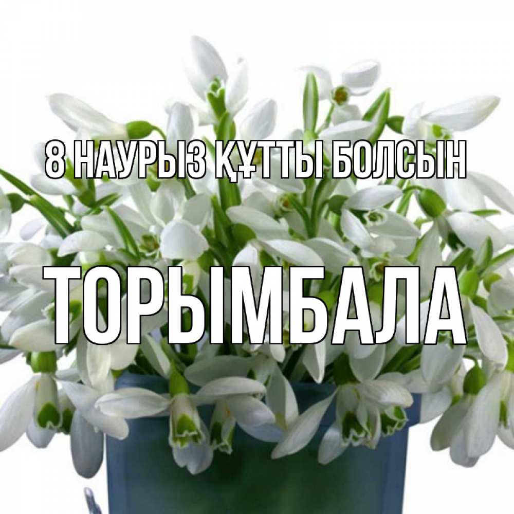 Күн сайын ашық хат с именем, ТОРЫМБАЛА 8 наурыз құтты болсын цветы к международному женскому дню Онлайн тегін жүктеп алу тілектері бар керемет карта 