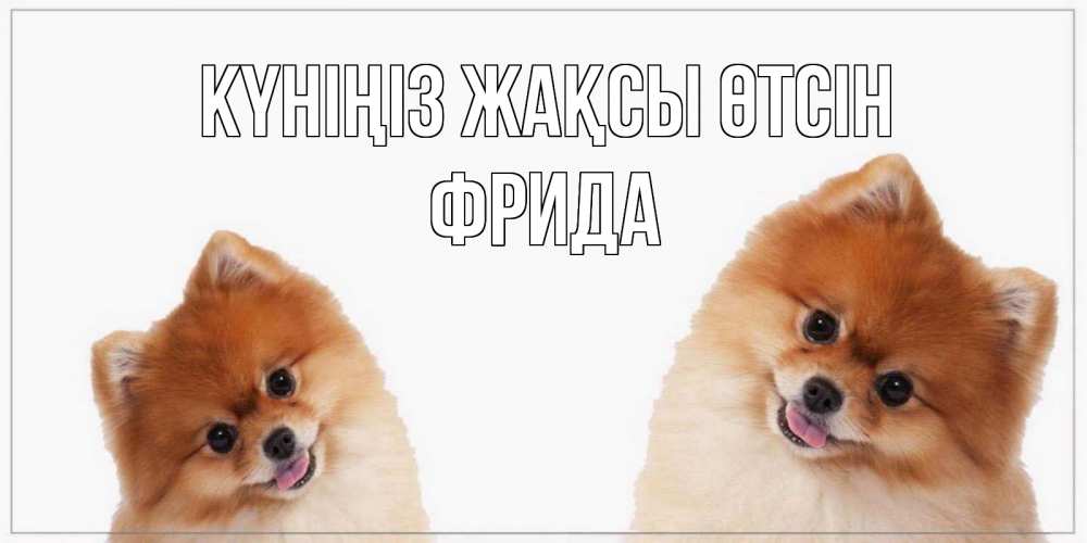 Күн сайын ашық хат с именем, Фрида Күніңіз жақсы өтсін собачки желают прекрасного дня Онлайн тегін жүктеп алу тілектері бар керемет карта 