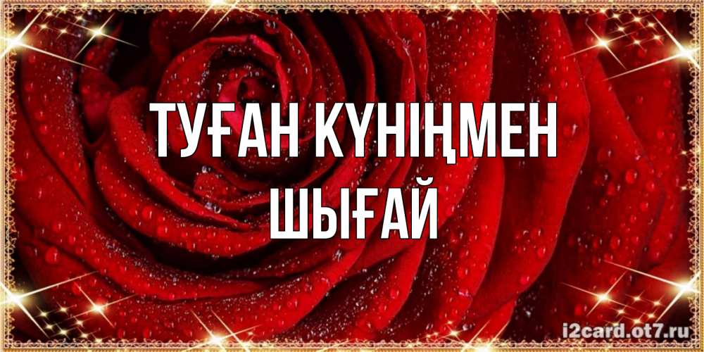 Күн сайын ашық хат с именем, ШЫҒАЙ Туған күніңмен роса на розе блестящая в лучах солнца Онлайн тегін жүктеп алу тілектері бар керемет карта 