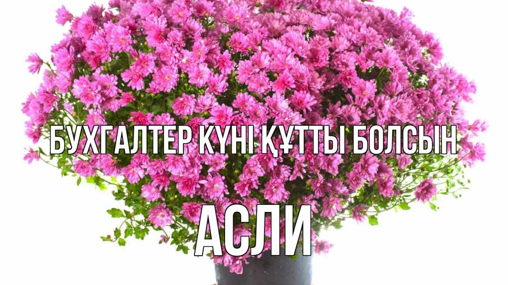 Күн сайын ашық хат с именем, АСЛИ бухгалтер күні құтты болсын с днем бухгалтера Онлайн тегін жүктеп алу тілектері бар керемет карта 