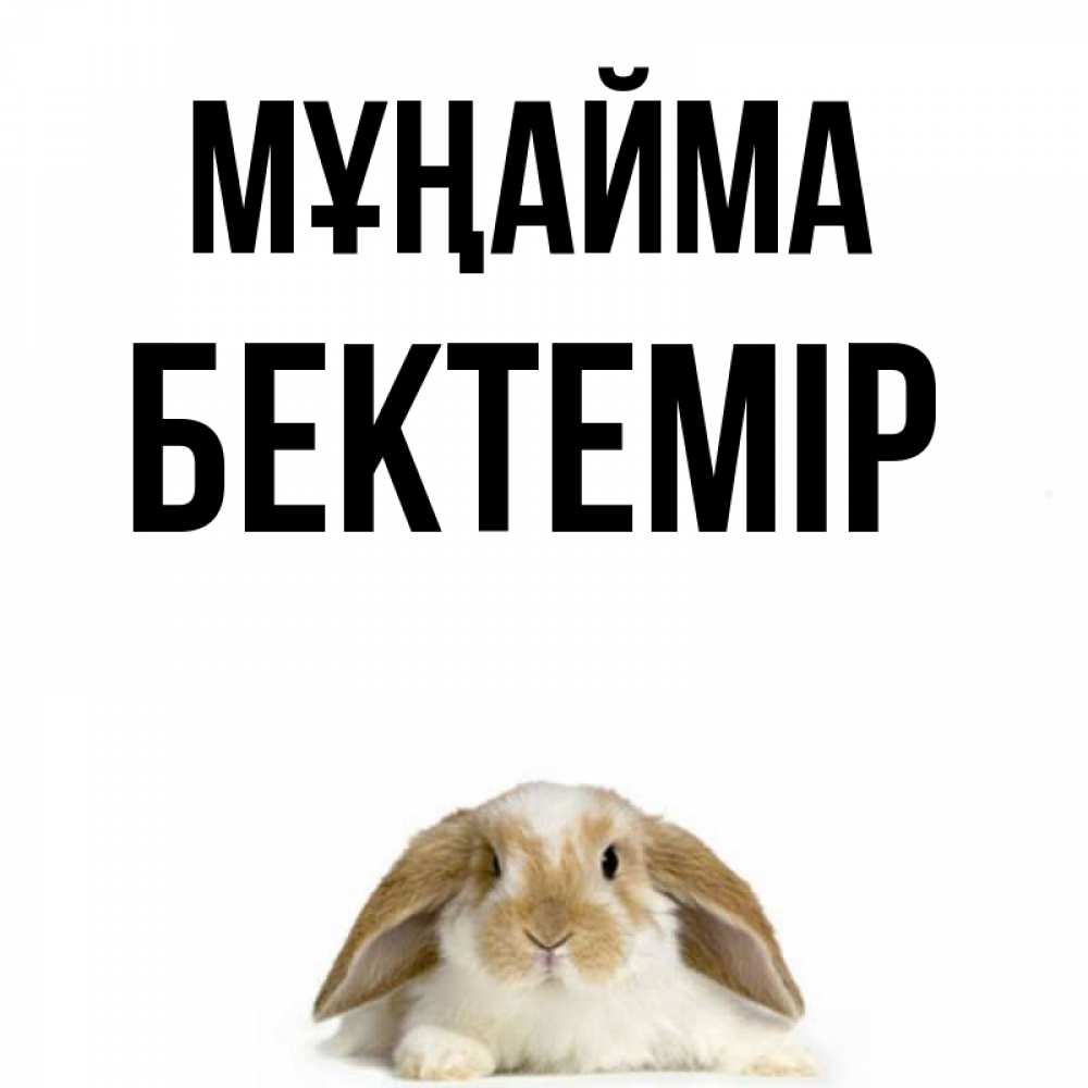Күн сайын ашық хат с именем, Бектемір Мұңайма коричнево белый заяц с большими ушками Онлайн тегін жүктеп алу тілектері бар керемет карта 