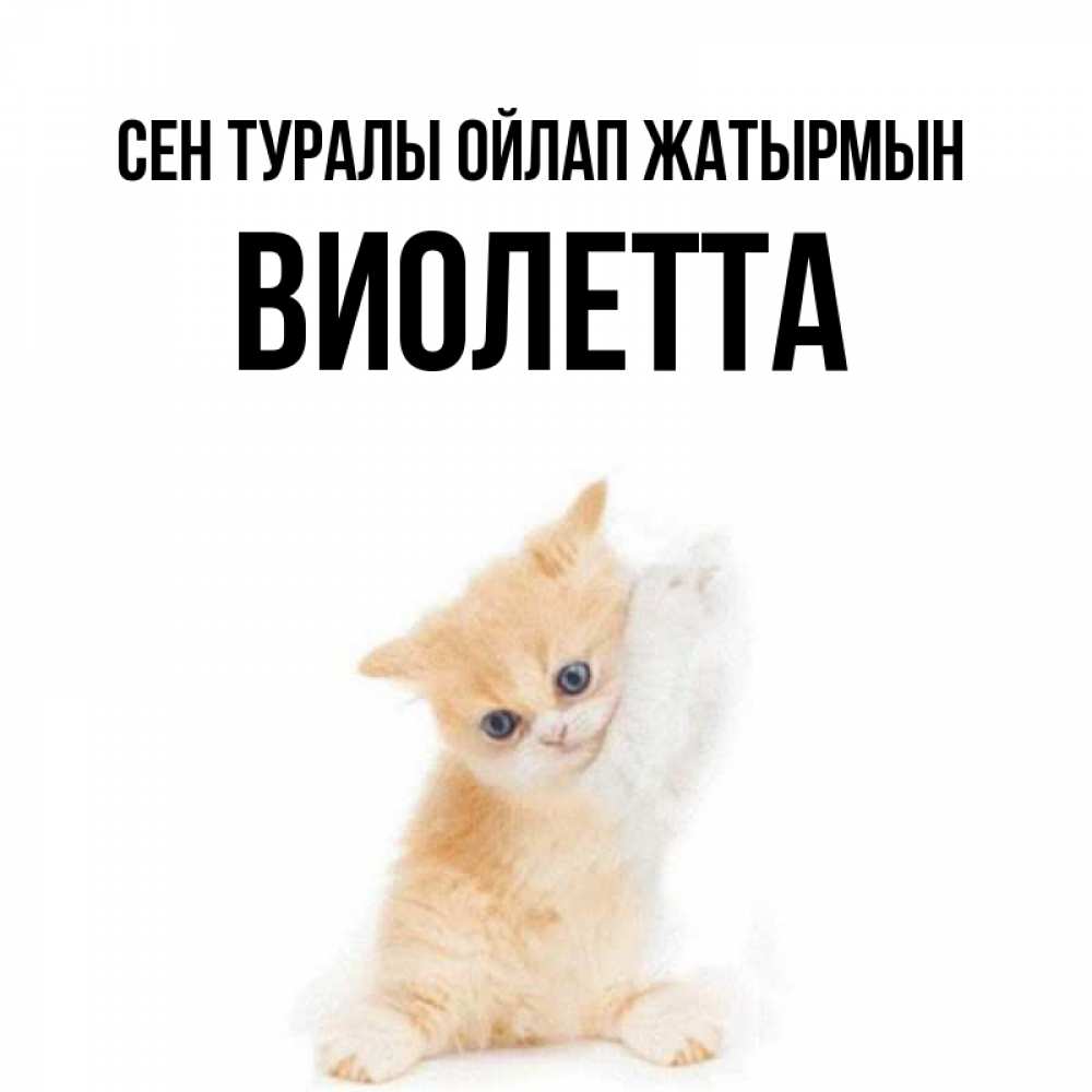 Күн сайын ашық хат с именем, Виолетта Сен туралы ойлап жатырмын зверушки и милота Онлайн тегін жүктеп алу тілектері бар керемет карта 