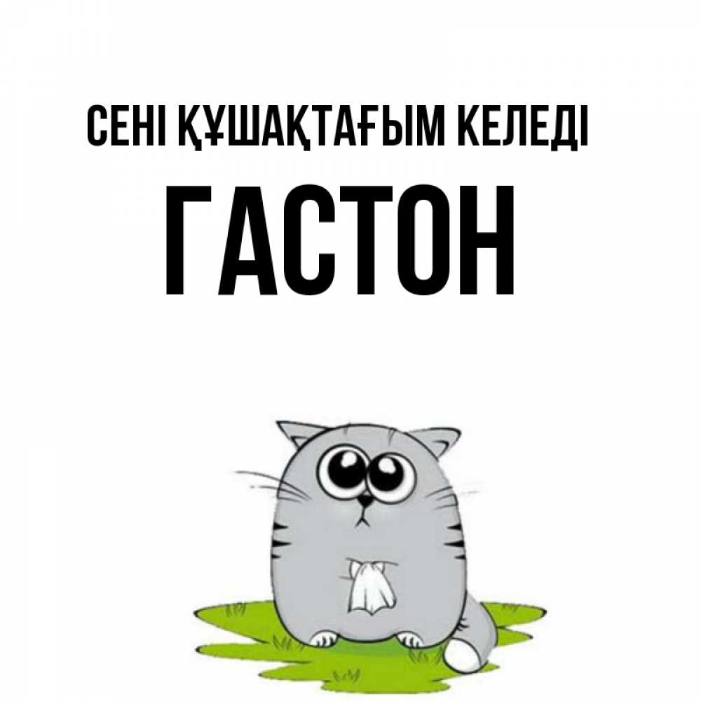 Күн сайын ашық хат с именем, Гастон сені құшақтағым келеді котик теребит платочек сидя на травке Онлайн тегін жүктеп алу тілектері бар керемет карта 