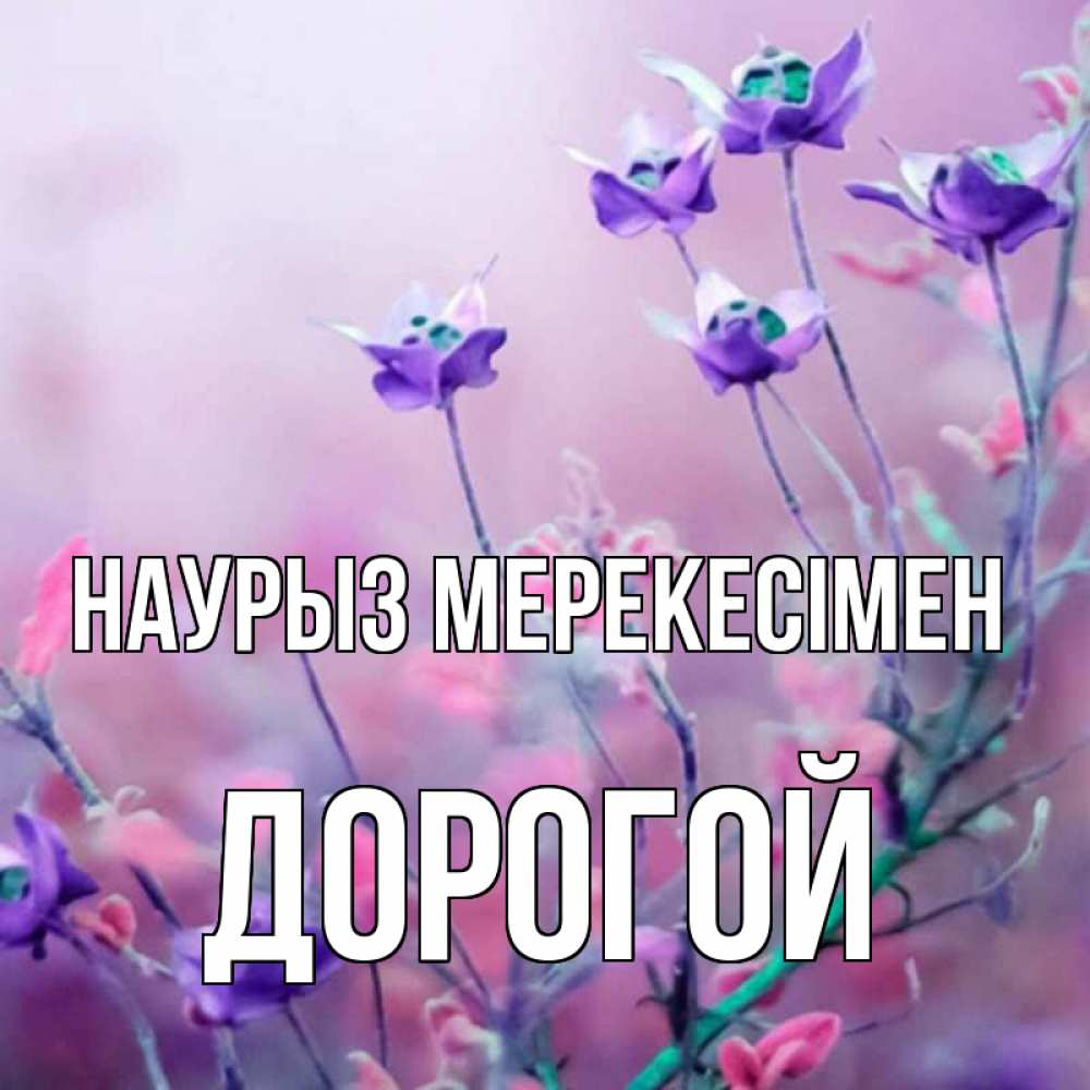Күн сайын ашық хат с именем, Дорогой Наурыз мерекесімен международный женский день 2 Онлайн тегін жүктеп алу тілектері бар керемет карта 