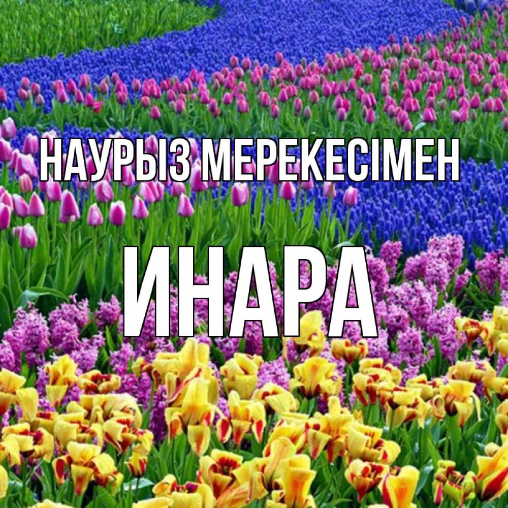 Күн сайын ашық хат с именем, Инара Наурыз мерекесімен цветы Онлайн тегін жүктеп алу тілектері бар керемет карта 
