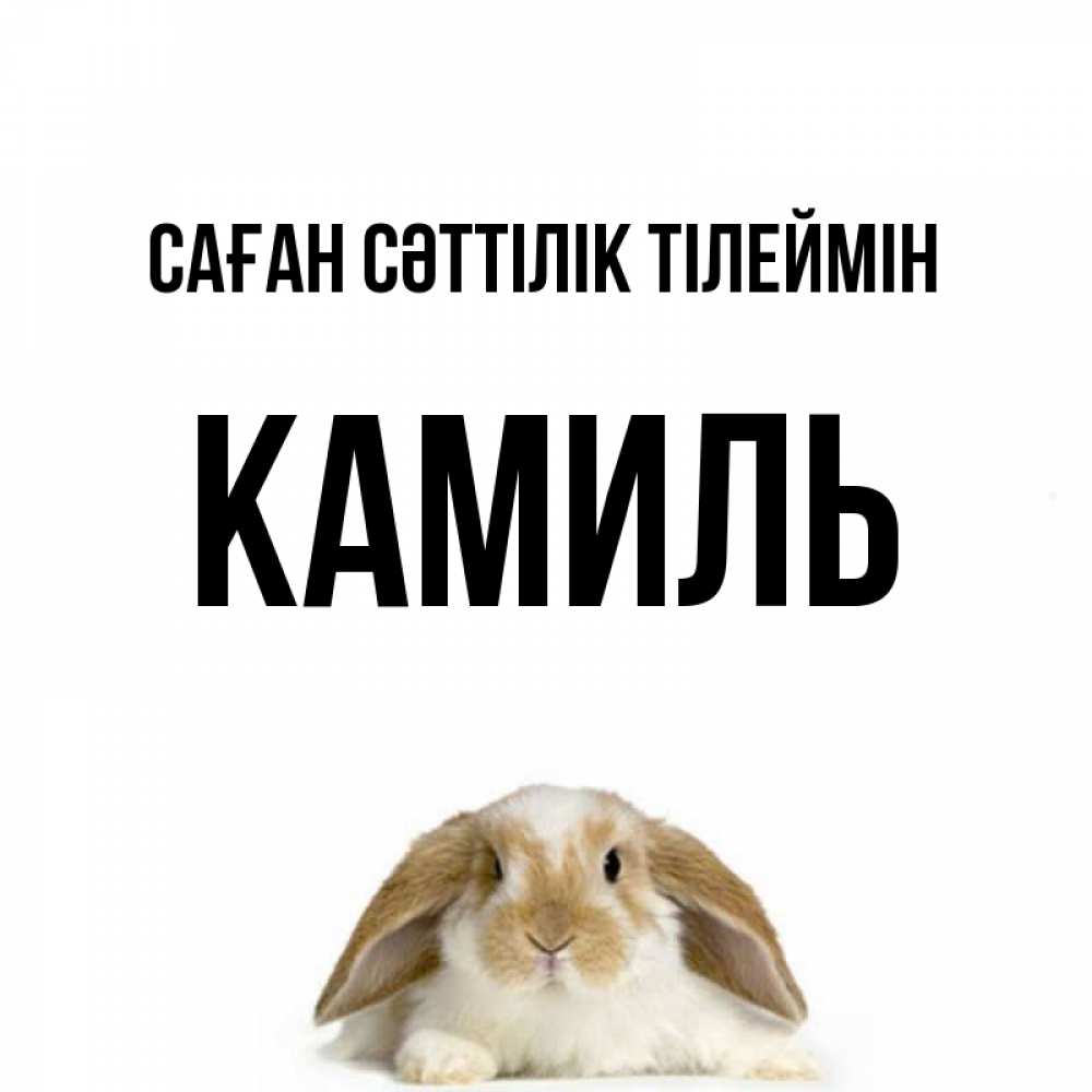 Күн сайын ашық хат с именем, Камиль Саған сәттілік тілеймін открытки с произвольным текстом который можно вставить в открытку и создать ее самостоятельно бесплатно онлайн Онлайн тегін жүктеп алу тілектері бар керемет карта 