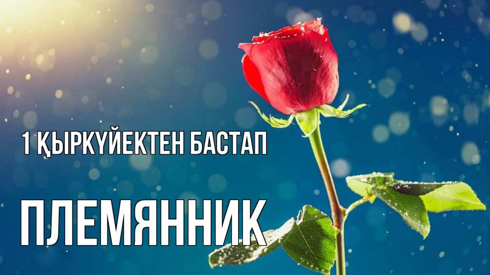 Күн сайын ашық хат с именем, Племянник 1 қыркүйектен бастап с днем знаний Онлайн тегін жүктеп алу тілектері бар керемет карта 