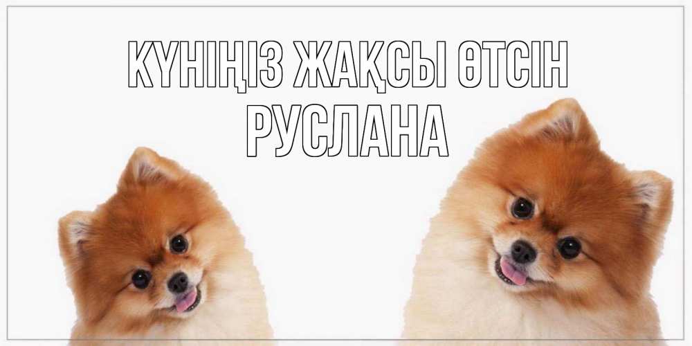 Күн сайын ашық хат с именем, РУСЛАНА Күніңіз жақсы өтсін собачки желают прекрасного дня Онлайн тегін жүктеп алу тілектері бар керемет карта 